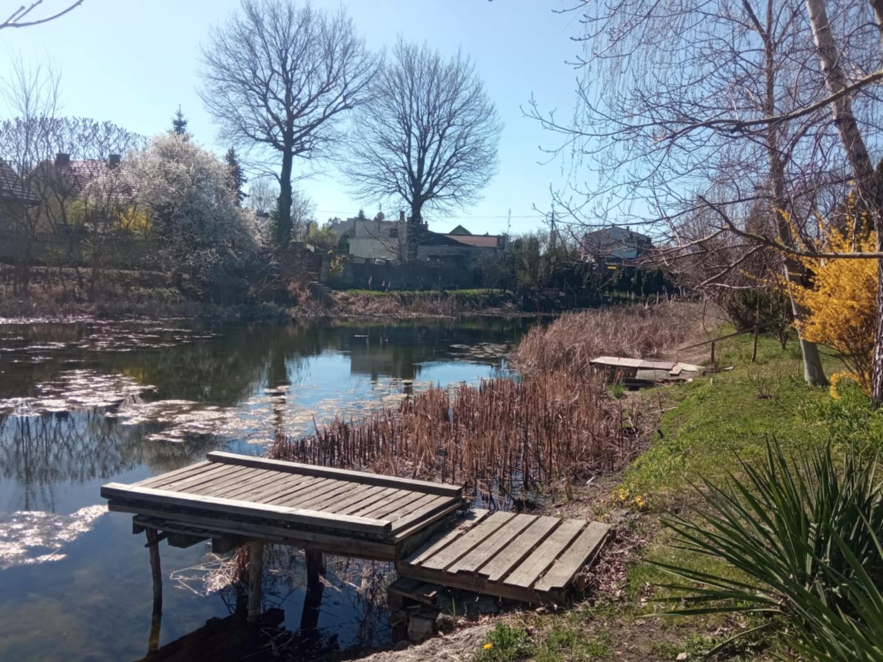 Działka rod Sochaczew, ul. Kościńskiego