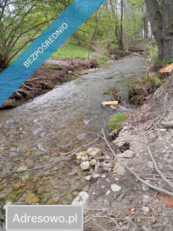 Działka rolna Wilkanów. Zdjęcie 3