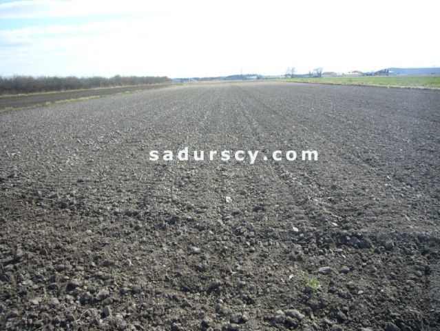 Działka inwestycyjna Nowa Wola. Zdjęcie 3