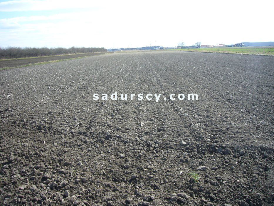 Działka inwestycyjna Nowa Wola. Zdjęcie 3