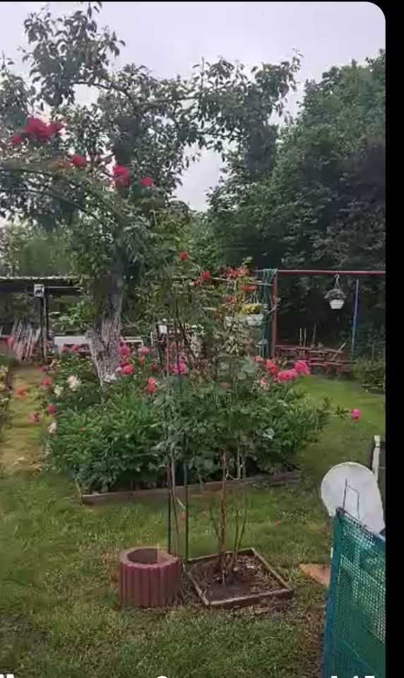 Działka rod Włocławek, ul. Jastrzębia. Zdjęcie 7