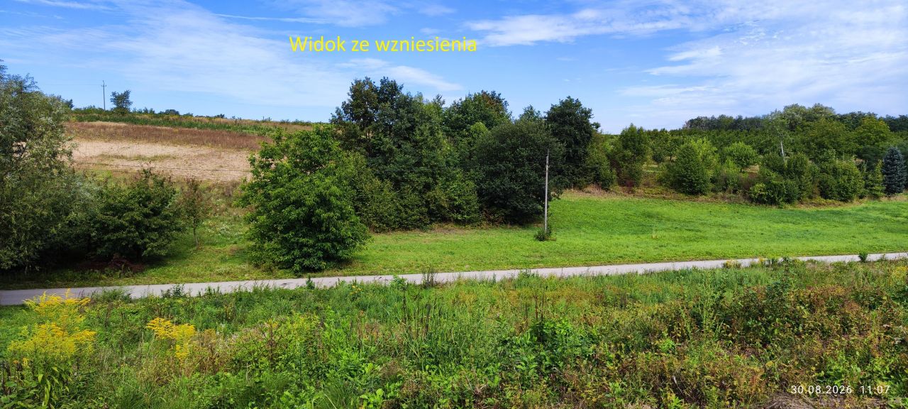 Działka rolna Strzałków, Strzalków. Zdjęcie 3