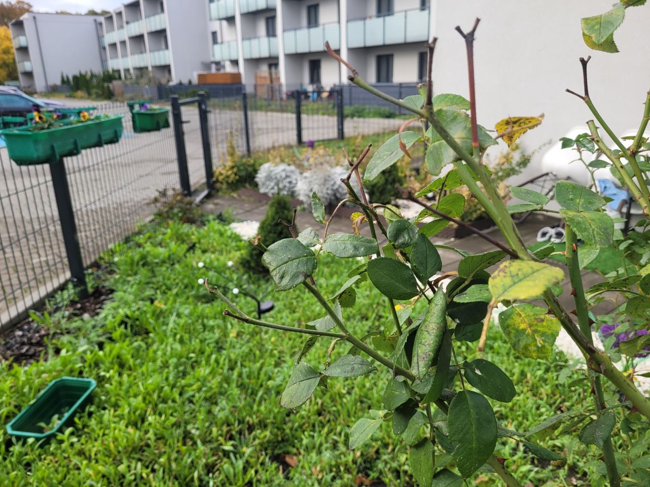 Mieszkanie 1-pokojowe Goleniów, ul. I Brygady Legionów. Zdjęcie 12
