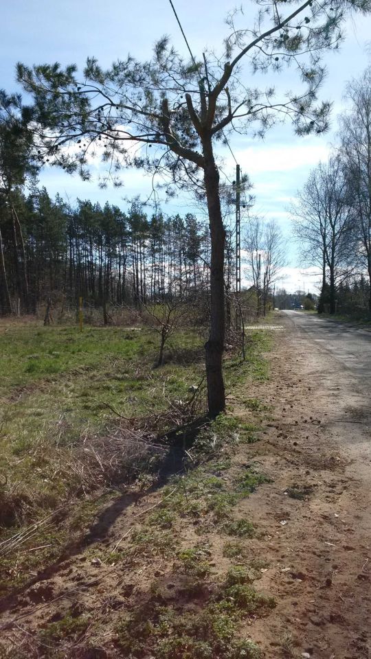 Działka rolno-budowlana Marszewo. Zdjęcie 7