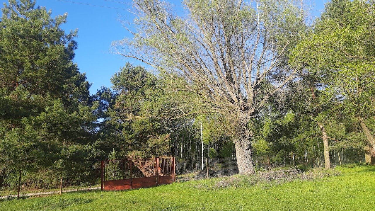 Działka budowlana Wielka Wieś A Charlawa. Zdjęcie 18