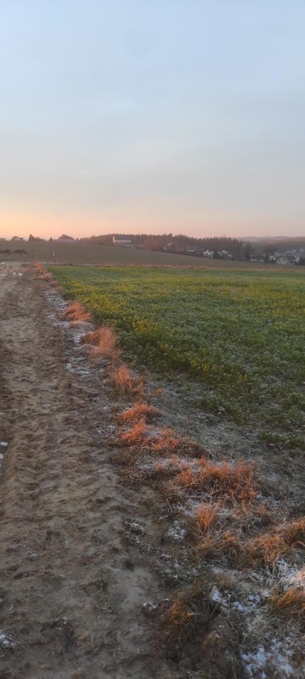 Działka budowlana Luzino, ul. Rumiankowa. Zdjęcie 3