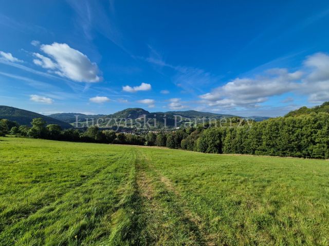 Działka rolna Wojcieszów. Zdjęcie 8