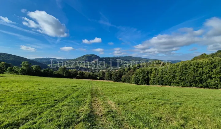 Działka rolna Wojcieszów