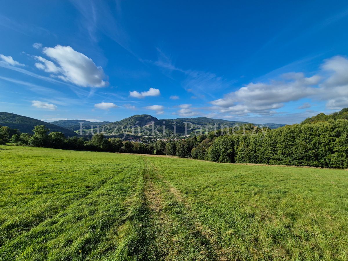 Działka rolna Wojcieszów. Zdjęcie 8