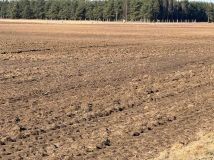 Działka budowlana Zbietka. Zdjęcie 4