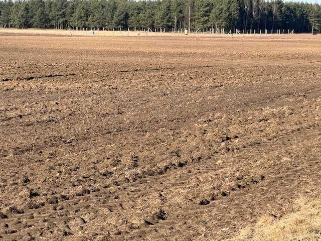 Działka budowlana Zbietka. Zdjęcie 5