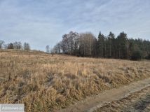 Działka rolno-budowlana Kielno, ul. Matejki. Zdjęcie 3