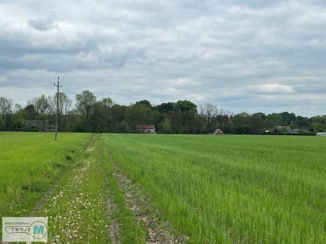 Działka rolna Trzciniec. Zdjęcie 4
