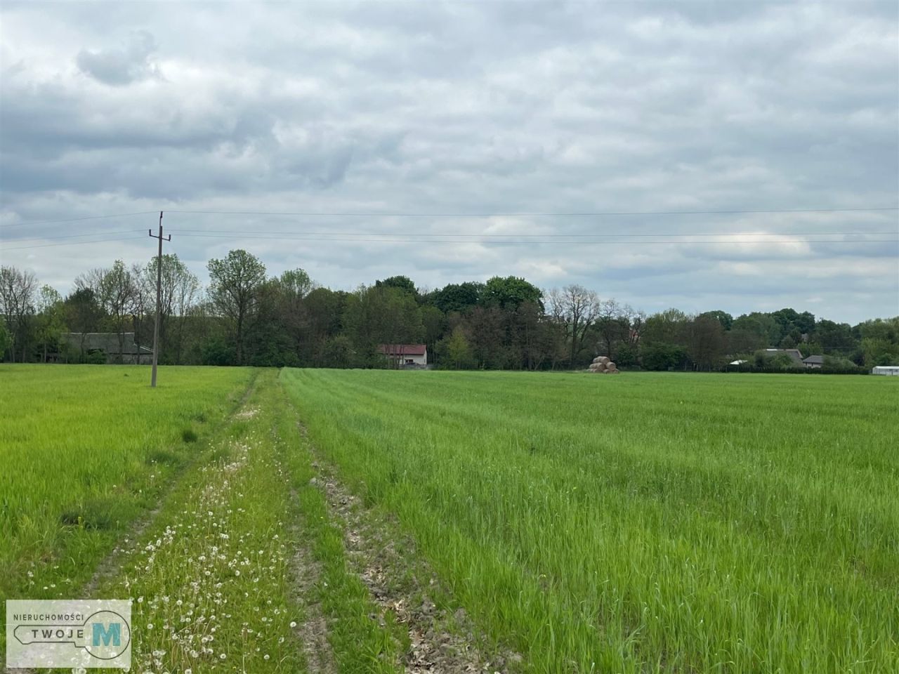 Działka rolna Trzciniec. Zdjęcie 4