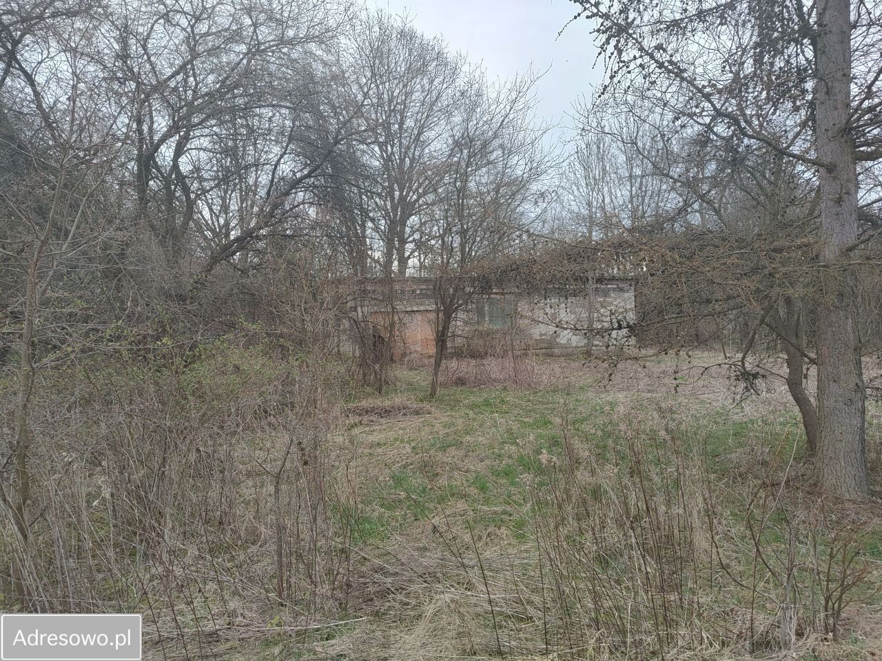 Działka rolno-budowlana Ryszkowa Wola. Zdjęcie 3