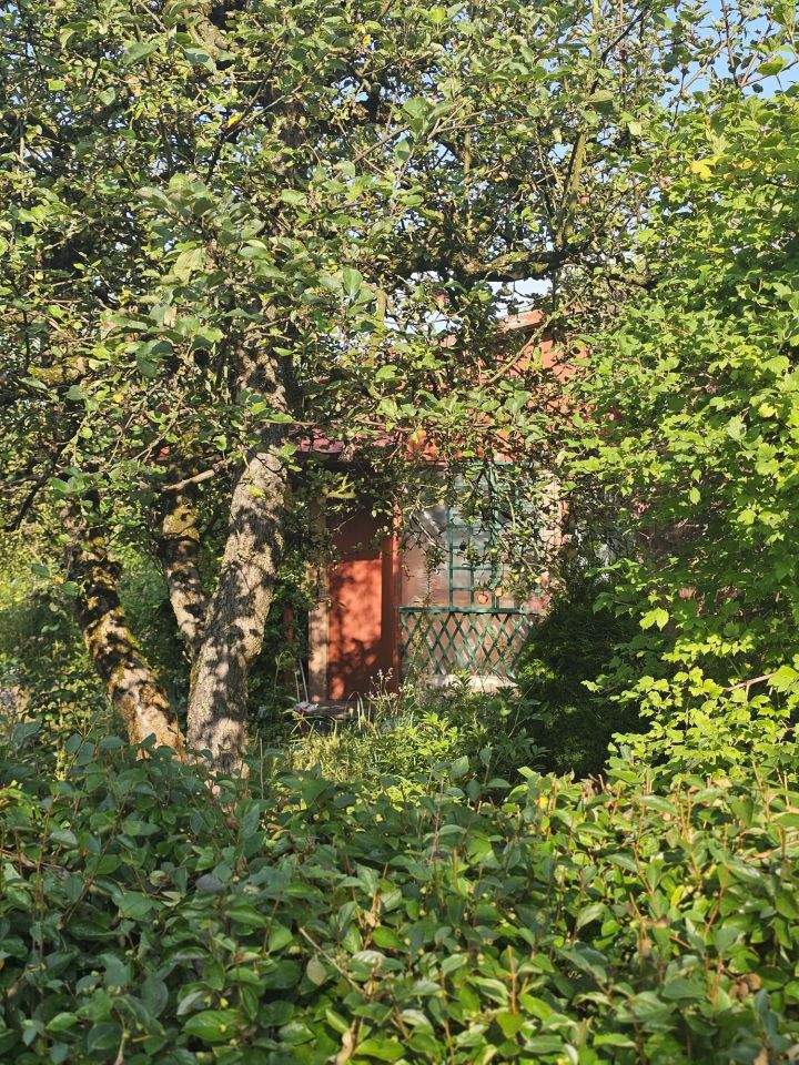 Działka rod Płouszowice. Zdjęcie 2