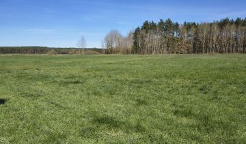 Działka rolna Gotelp