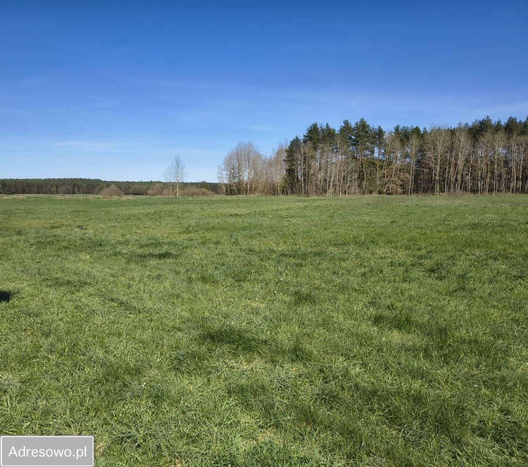 Działka rolna Gotelp