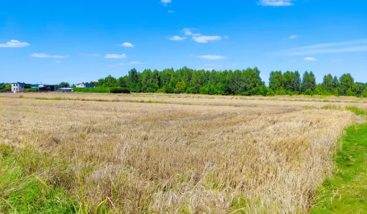 Działka budowlana Książenice, ul. ks. Pojdy