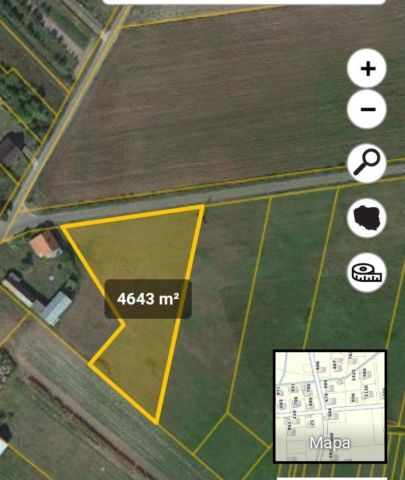 Działka rolna Jeziorno. Zdjęcie 1