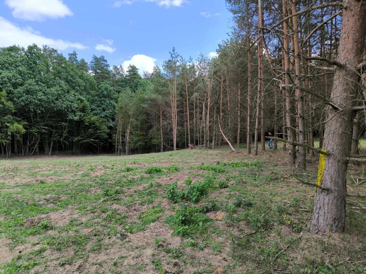 Działka rolno-budowlana Stawiguda. Zdjęcie 6