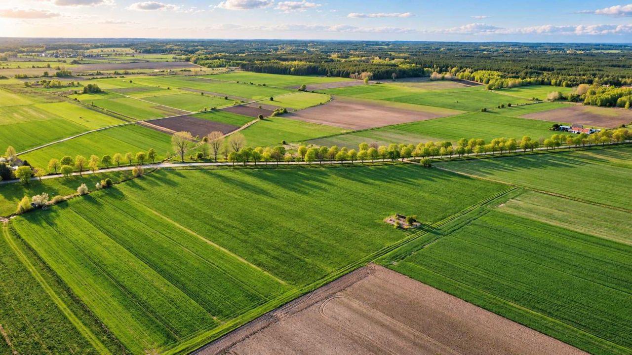 Działka rolna Górzyn. Zdjęcie 3