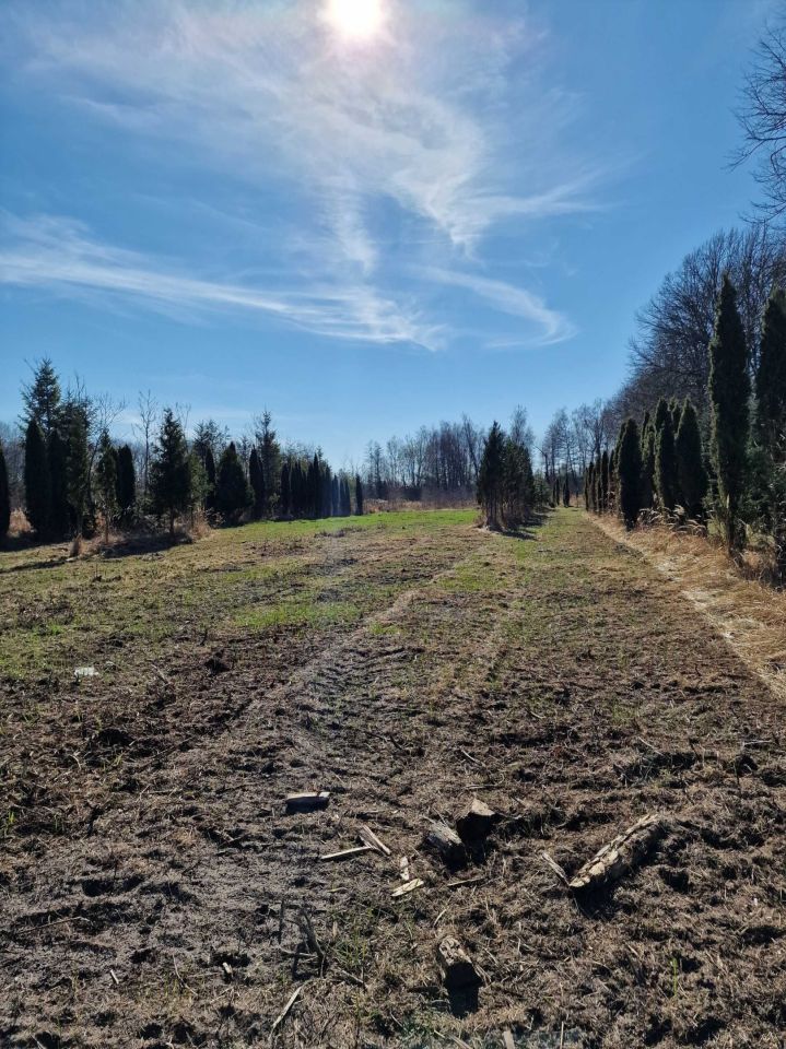 Działka rolna Świdnica. Zdjęcie 2