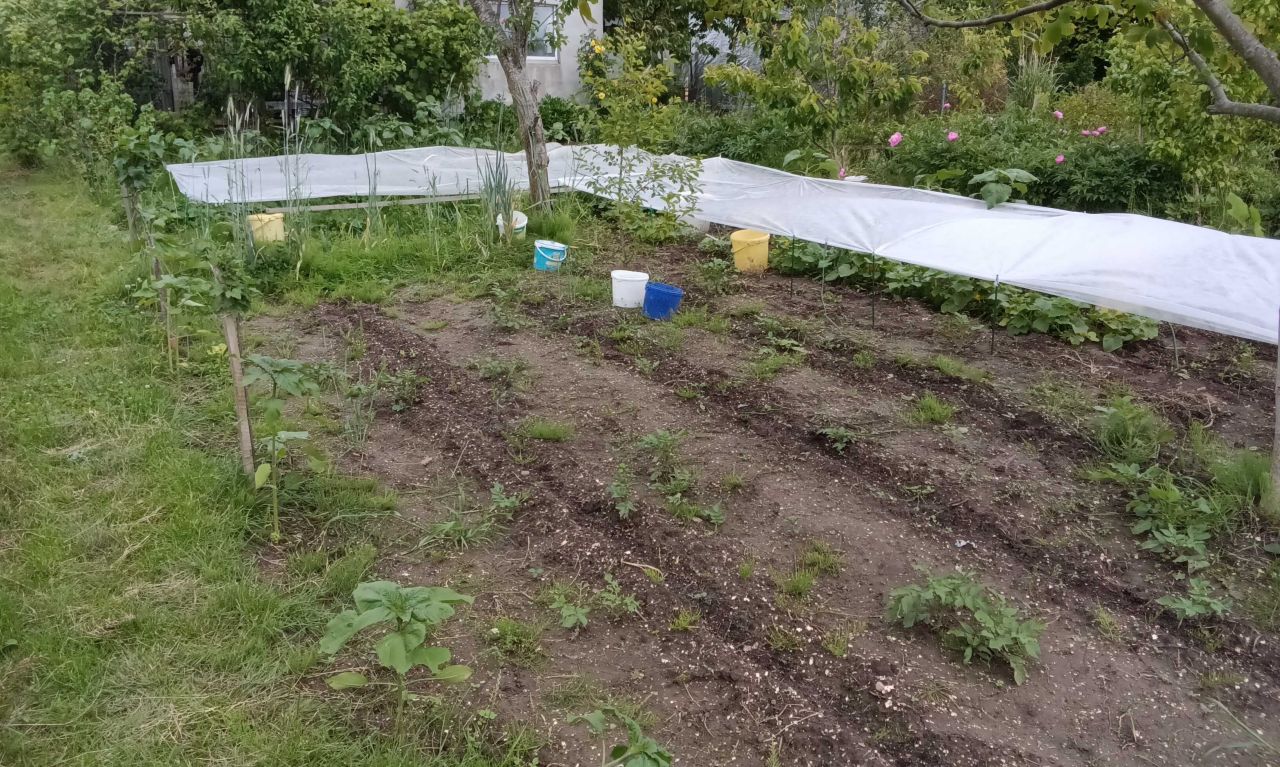 Działka rod Koszalin, ul. Holenderska. Zdjęcie 5