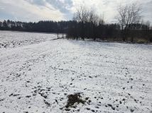 Działka rolna Wolica, Wolica. Zdjęcie 2