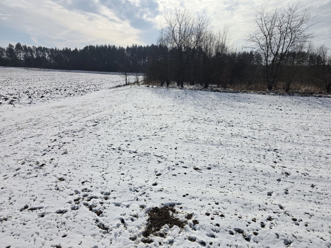 Działka rolna Wolica, Wolica. Zdjęcie 3