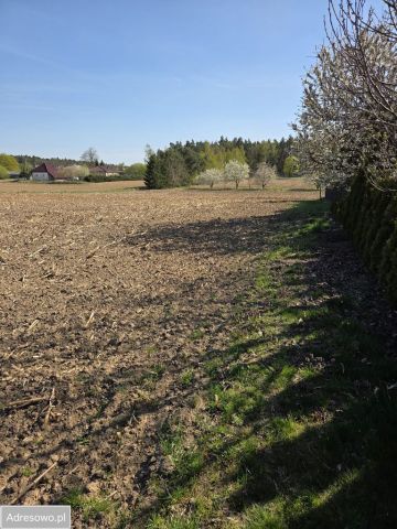 Działka budowlana Toporzysko. Zdjęcie 1