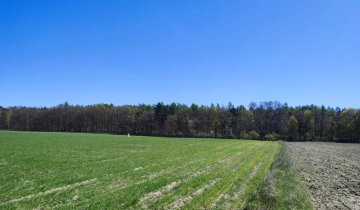 Działka budowlana Kruszyn