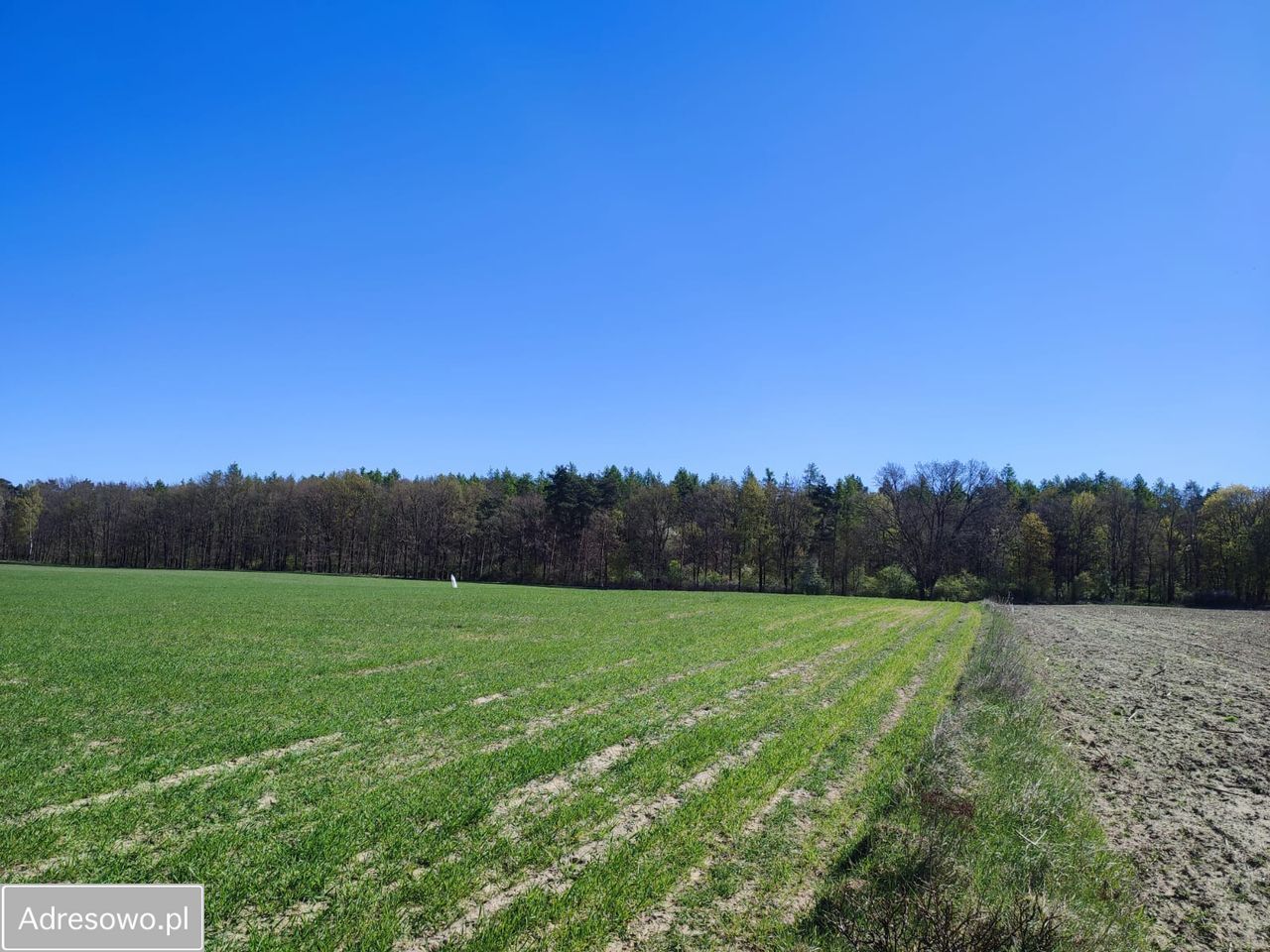 Działka budowlana Kruszyn. Zdjęcie 1