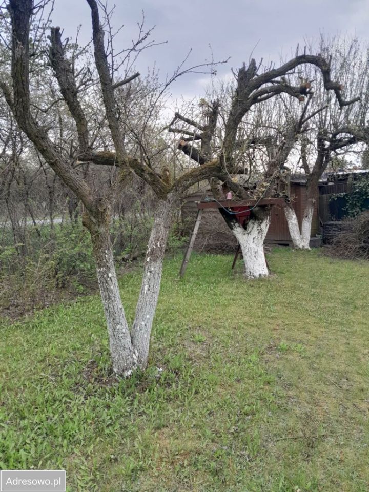 Działka rod Gniezno, ul. Powstańców Wlkp.. Zdjęcie 1