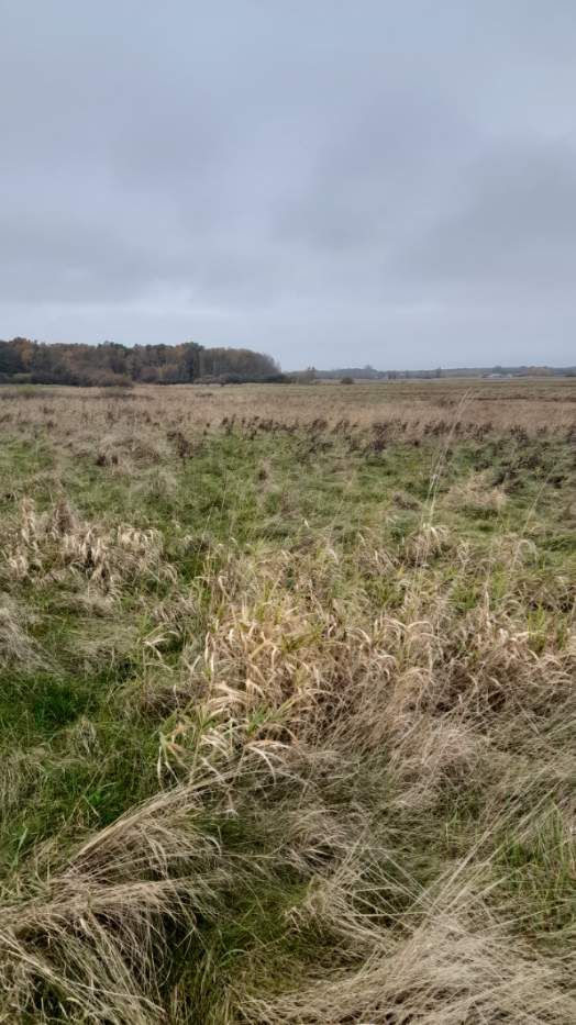 Działka rekreacyjna Barzowice. Zdjęcie 5