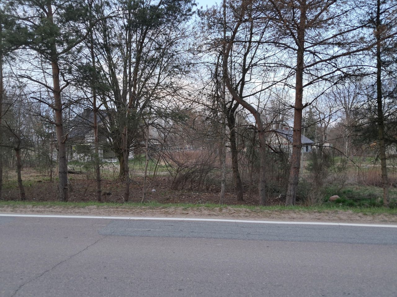 Działka budowlana Pryszczowa Góra. Zdjęcie 8
