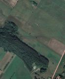 Działka rolna Bieńkowo. Zdjęcie 1