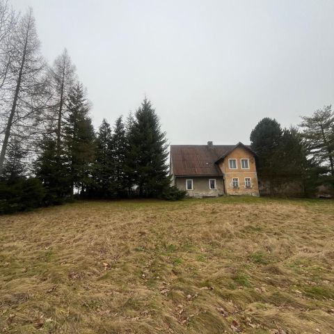 dom wolnostojący Międzylesie, Zielona. Zdjęcie 1