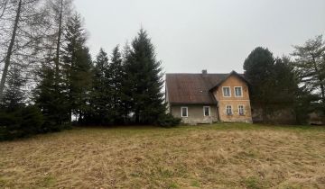 dom wolnostojący Międzylesie, Zielona