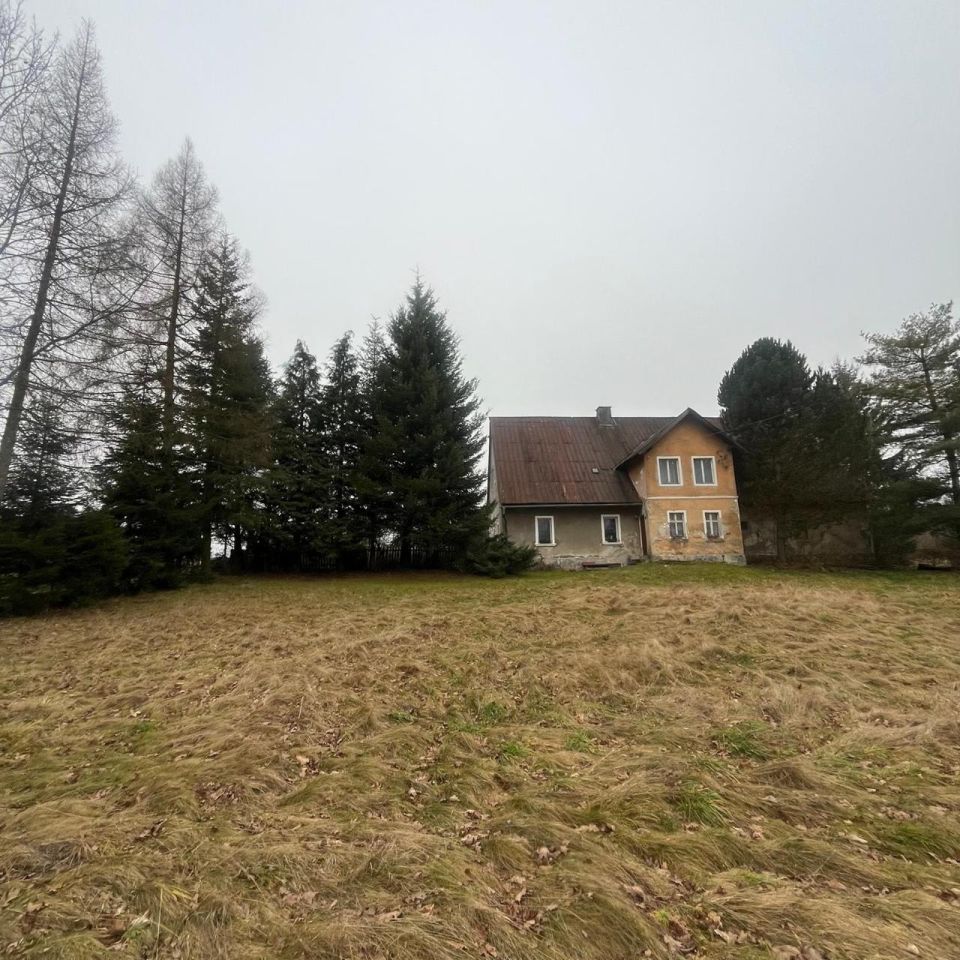 dom wolnostojący Międzylesie, Zielona