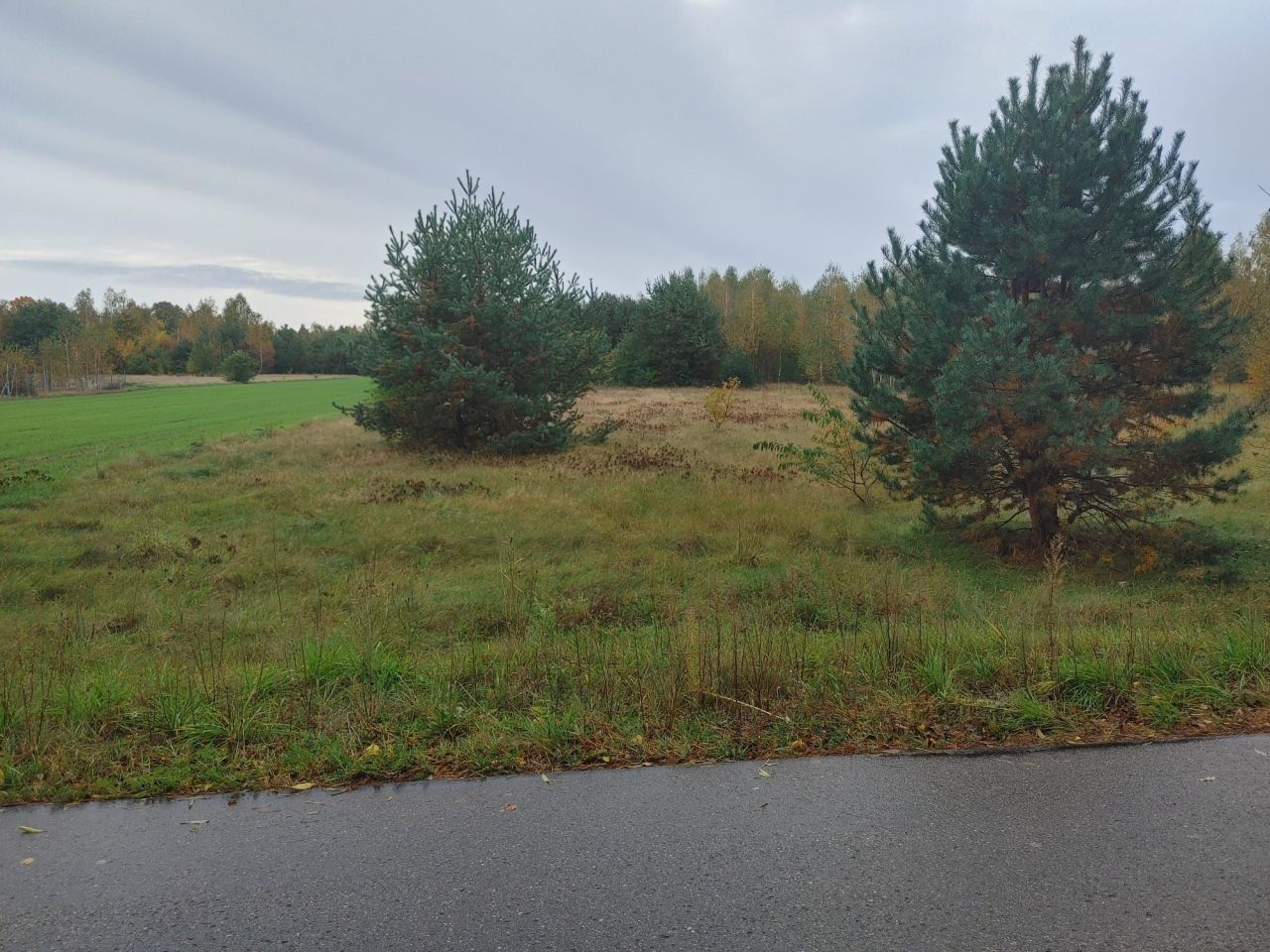 Działka rolno-budowlana Dziecinów. Zdjęcie 1