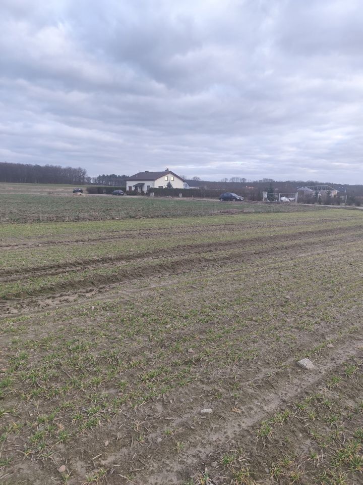 Działka budowlana Szczutki, Wiosenna. Zdjęcie 5