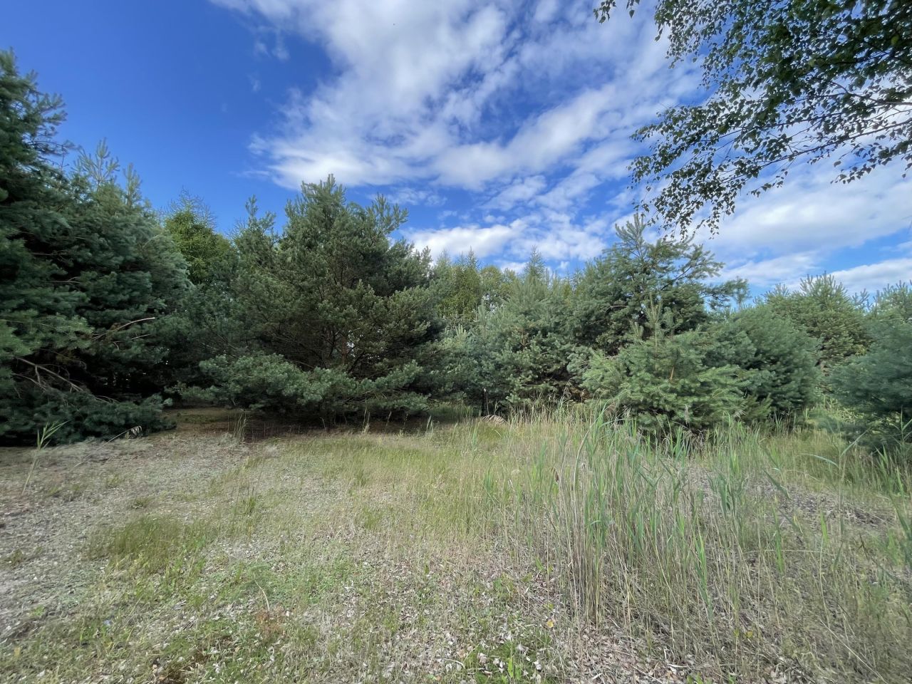 Działka siedliskowa Kozia Wieś. Zdjęcie 6