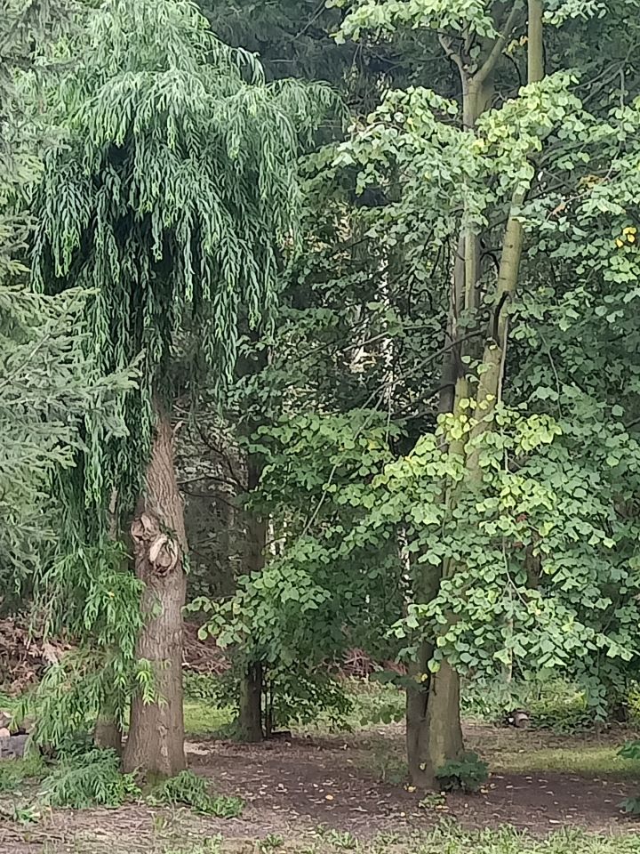 dom wolnostojący, 5 pokoi Gorzów Wielkopolski Wieprzyce, ul. Kostrzyńska. Zdjęcie 20