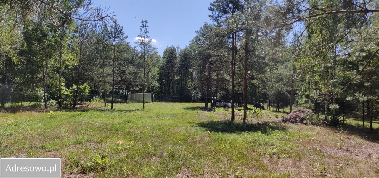 Działka budowlana Borowiec. Zdjęcie 5