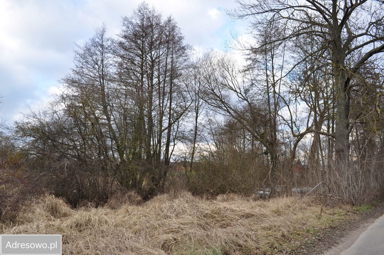 Działka siedliskowa Stare Chrapowo. Zdjęcie 6