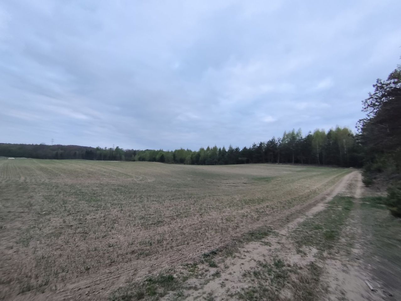 Działka rolno-budowlana Graniczna Wieś, ul. Jarzębinowa. Zdjęcie 8