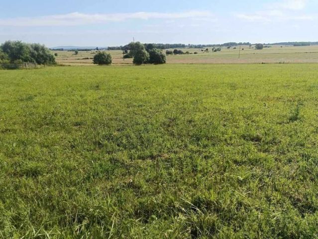 Działka budowlana Górki. Zdjęcie 1