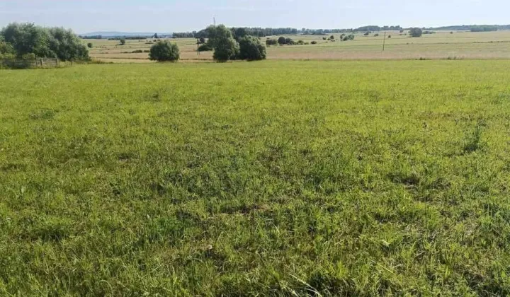 Działka budowlana Górki