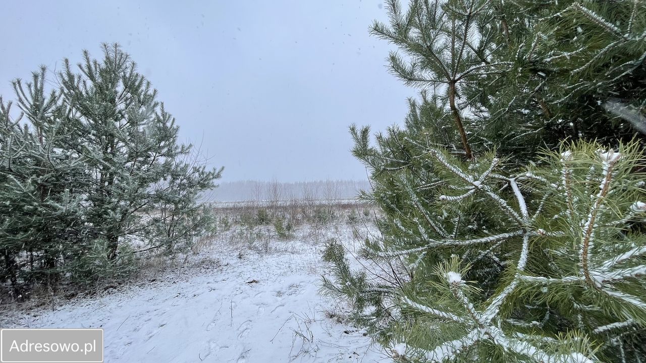 Działka budowlana Siestrzeń. Zdjęcie 9